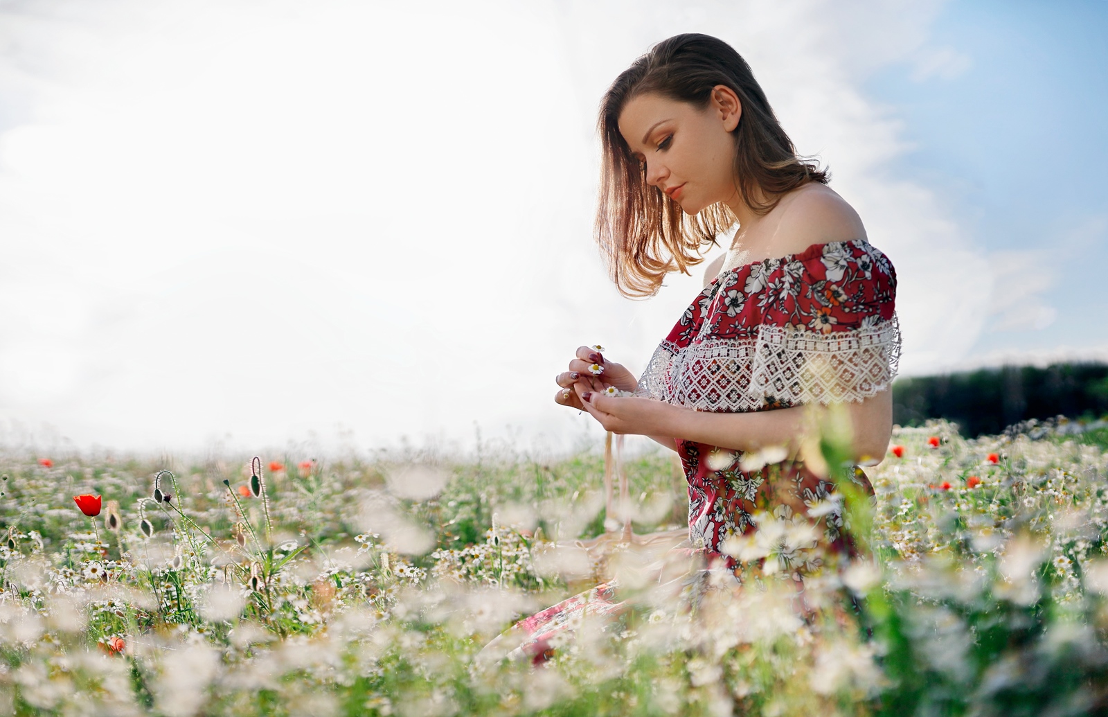 Field 02 1600px
